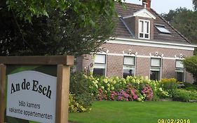 An De Esch